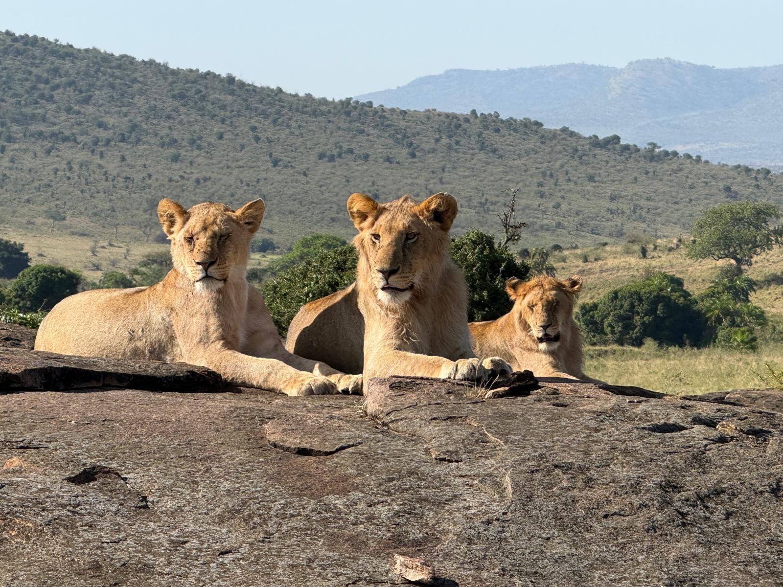 Sanctuaries of untouched beauty