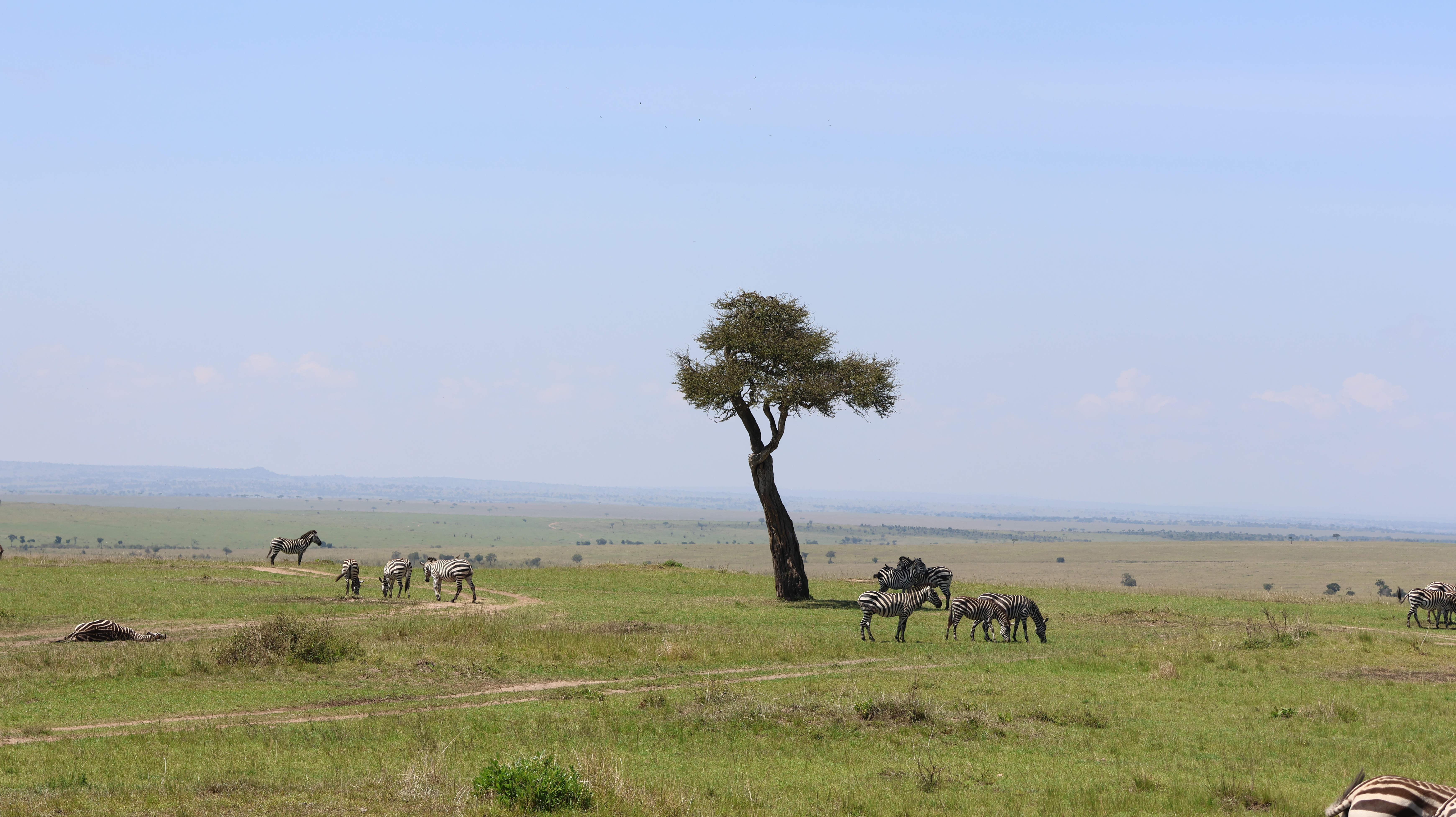 3 DAYS / 2 NIGHTS SAMBURU LUXURY SAFARI