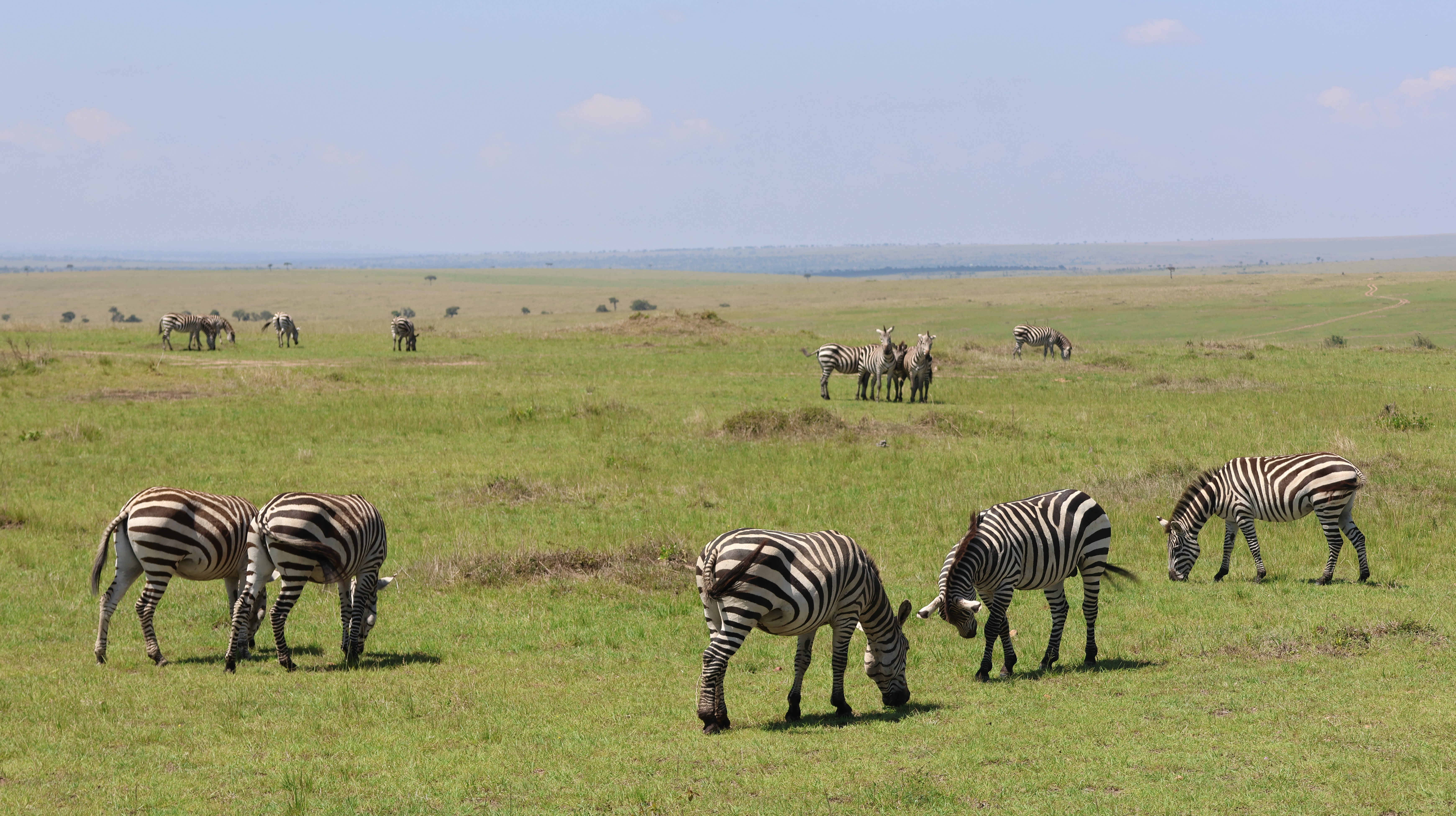 4 DAYS / 3 NIGHTS TSAVO EAST & TSAVO WEST LUXURY SAFARI